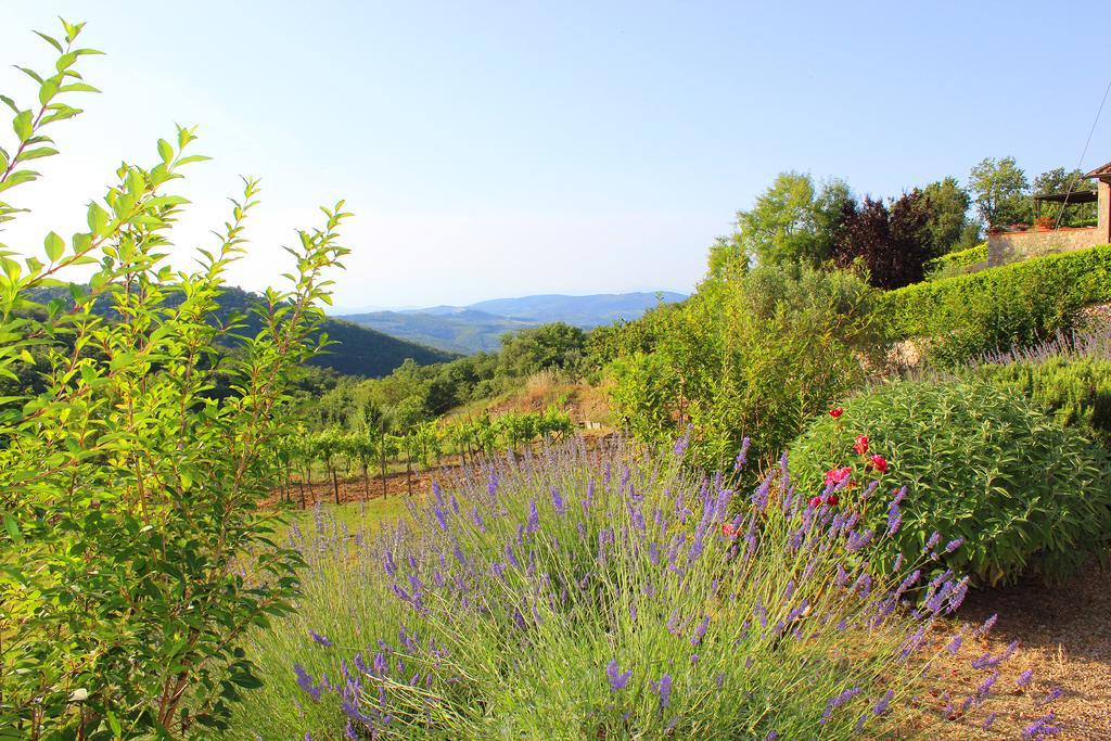 Sandra House Apartamento Castellina in Chianti Exterior foto